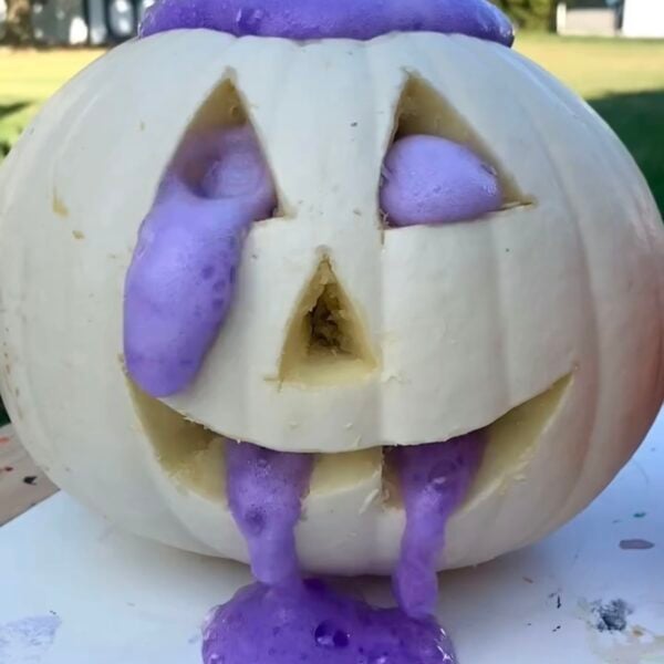 Fizzy Pumpkin Experiment