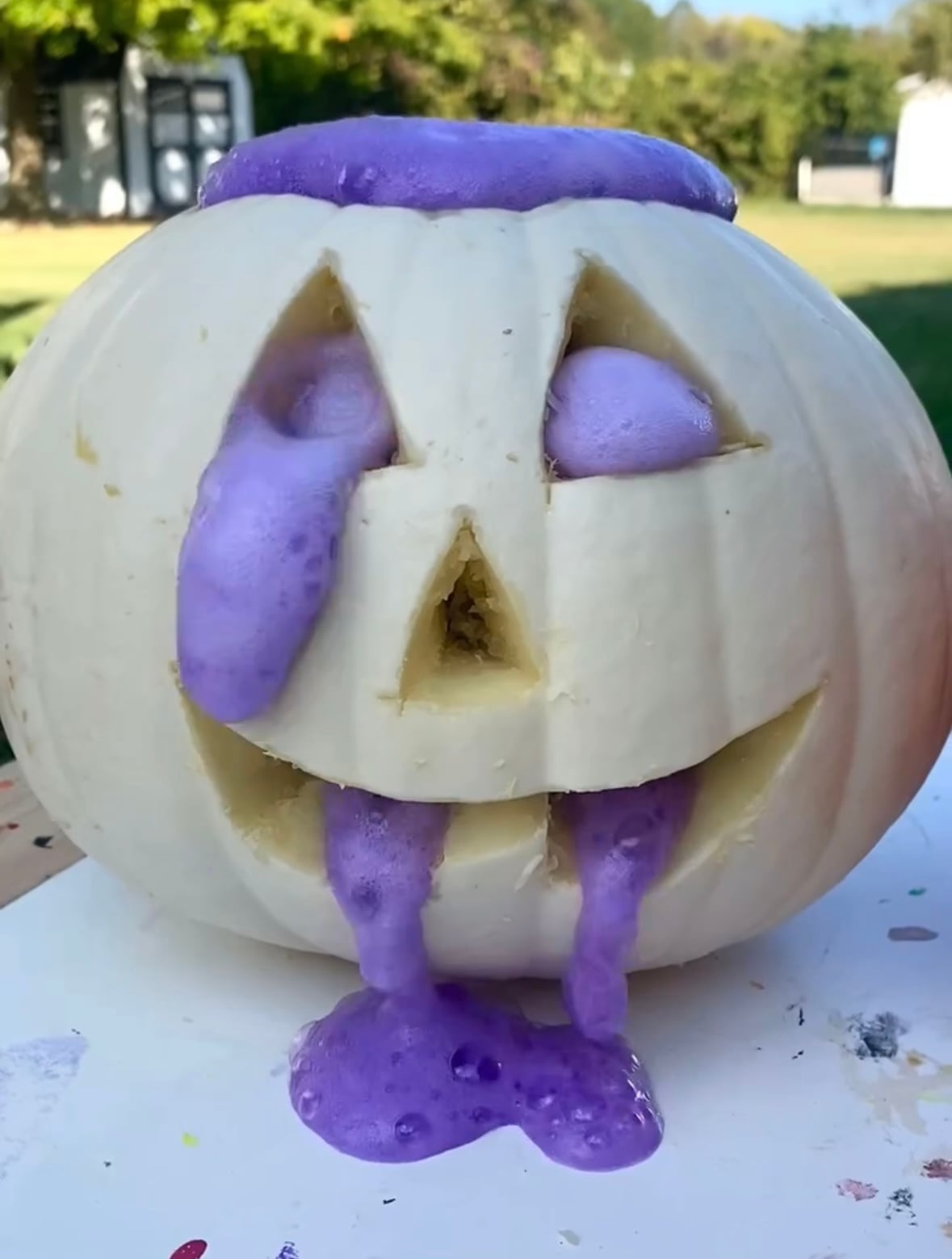 Fizzy Pumpkin Experiment